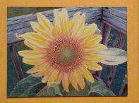 "Sun Flower" (c) Artist Jack Keough 2002